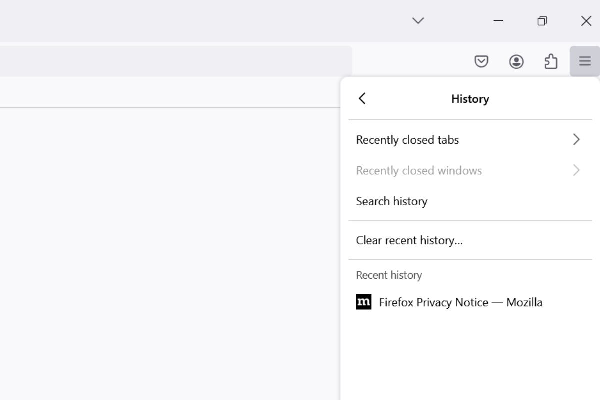A screenshot of a Firefox browser on desktop, showing the history settings
